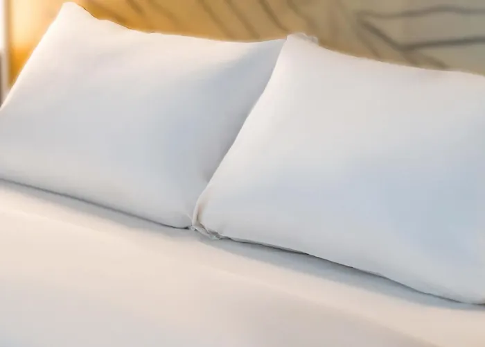 Mulhouse Bale Aeroport