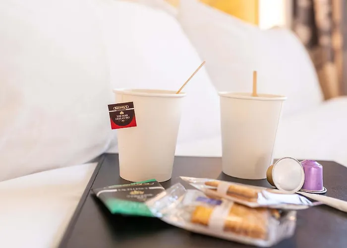 Mulhouse Bale Aeroport Hotel